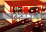 死刑立即执行，正义天平与道德考量的探讨