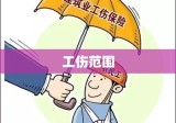 工伤范围及其重要性，深入理解与应用指南