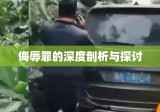 侮辱罪的深度剖析与探讨