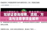 驾驶证查询指南，流程、方法与注意事项全解析