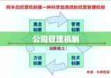 公司管理机制，构建高效企业运营的稳固基石