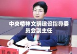 中央精神文明建设指导委员会副主任的角色与职责解析