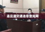 连云港交通违章查询网，便捷高效的交通信息管理平台