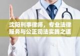 沈阳刑事律师，专业法律服务与公正司法实践之道