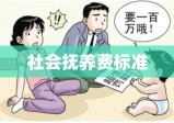 社会抚养费标准，深入分析与反思