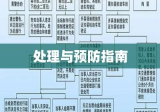 湖北交通违章，全面解析、处理与预防指南