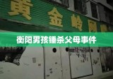 衡阳男孩锤杀父母事件深度剖析，背后的原因与社会反思的警钟