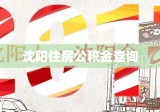 沈阳住房公积金查询，便捷途径与管理应用详解