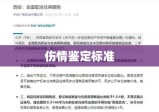 伤情鉴定标准详解，理解与应用指南