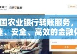 中国农业银行转账服务，便捷、安全、高效的金融体验之旅