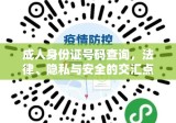 成人身份证号码查询，法律、隐私与安全的交汇点