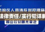 犯罪行为主体与法律责任，实行犯详解