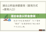 湖北省直公积金查询，便捷途径与操作指南全攻略