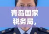 青岛国家税务局，税收工作的杰出典范