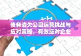 债务清欠公司运营挑战与应对策略，有效应对企业债务问题之道