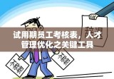 试用期员工考核表，人才管理优化之关键工具