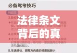 开车撞死人判几年的法律考量与深度解读，法律条文背后的真实含义解析