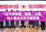 红十字协会，使命、行动与人道主义的力量探索