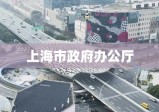 上海市政府办公厅，推动城市发展的核心引擎