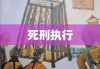 中国死刑执行概述