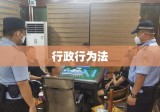 行政行为法的内涵与实践探讨