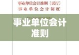 事业单位会计准则详解与实际操作指南