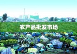 农产品批发市场蓬勃发展繁荣景象