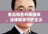 青岛知名刑事律师，法律精英守护正义之路