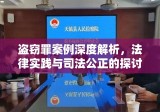 盗窃罪案例深度解析，法律实践与司法公正的探讨