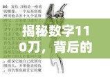 揭秘数字110刀，背后的故事与深层含义