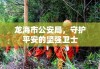 龙海市公安局，守护平安的坚强卫士