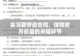 实习期劳动合同，保障双方权益的关键环节