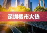 深圳楼市火热，抢房景象背后的真相