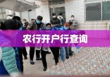 农行开户行查询，便捷方式与详细指南