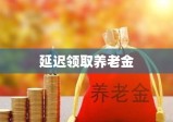 延迟领取养老金，老龄化社会的策略应对与挑战