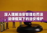 深入理解治安管理处罚法，法律框架下的治安维护与措施解析