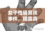 女子性侵男孩事件，揭露真相与寻求公正之路