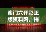 澳门六开彩正版资料网，揭秘彩票文化的真实魅力