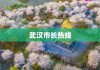 武汉市长热线，市民与政府的沟通桥梁