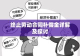 终止劳动合同补偿金详解及探讨