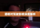 一瓶啤酒后多久开车？酒精对驾驶影响的深度解析