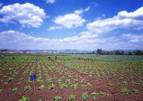 农村土地纠纷怎么处理土地确权