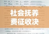 社会抚养费征收决定书的深度探讨