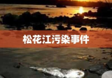 松花江污染事件，反思与未来展望之路