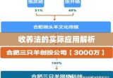 收养法的意义及其实际应用解析