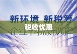 税收优惠，经济繁荣与社会公平的关键驱动力