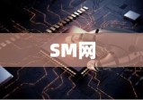 SM网，数字时代的全新领域探索