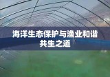 渔业法，守护海洋生态与渔业和谐共生之道