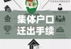 身份证图片正面及其重要性、使用与保护指南