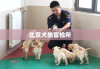 北京犬类留检所，实现城市与犬类和谐共生的守护者